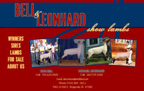Bell & Leonhard Show Lambs